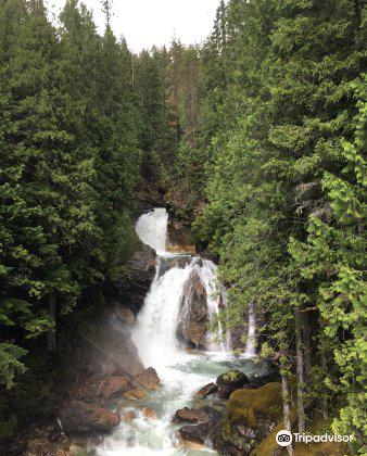 crazy creek target