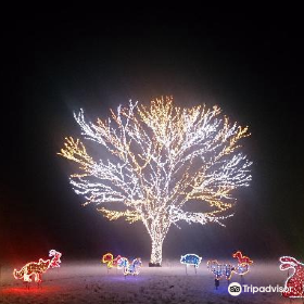 長岡の人気観光スポットランキング トリップドットコム