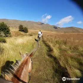 Backcountry Saddle Expeditions