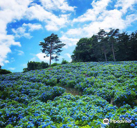 赤坂公衆園のレビュー 赤坂公衆園のチケット 赤坂公衆園の割引 赤坂公衆園の交通機関 所在地 営業時間 赤坂公衆園周辺の観光スポット ホテル グルメ Trip Com