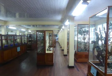 가이아나 국립박물관 명소 인기 사진