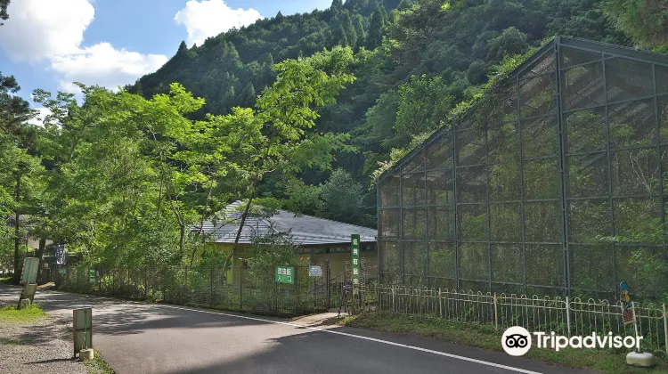佐用町昆虫館のレビュー 佐用町昆虫館のチケット 佐用町昆虫館の割引 佐用町昆虫館の交通機関 所在地 営業時間 佐用町昆虫館周辺の 観光スポット ホテル グルメ Trip Com