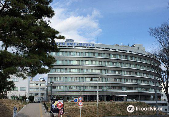 仙台 東北大学理学部自然史標本館 評判 案内 トリップドットコム