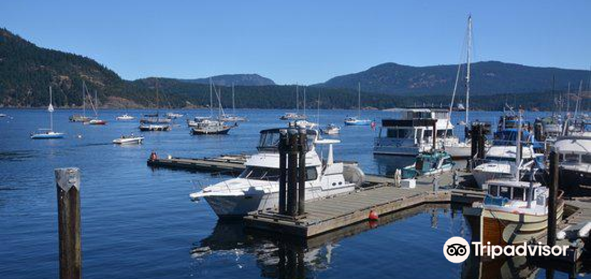 Cowichan Bay 2023 Top Things to Do Cowichan Bay Travel Guides Top