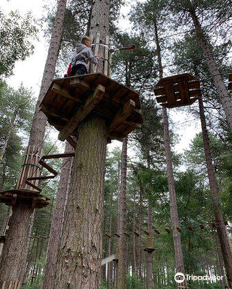 Go Ape Sherwood Travel Guidebook Must Visit Attractions In Edwinstowe Go Ape Sherwood Nearby Recommendation Trip Com