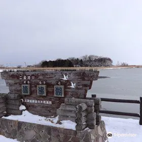 濤沸湖