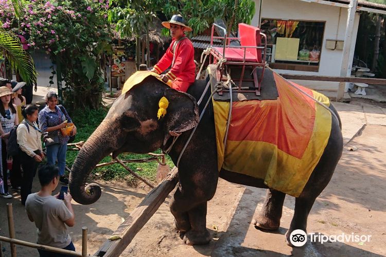 Chang Puak Camp Damnoensaduak Travel Guidebook Must Visit Attractions In Damnoen Saduak Chang Puak Camp Damnoensaduak Nearby Recommendation Trip Com Chang Puak Camp Damnoensaduak Travel Guidebook Must Visit Attractions In Damnoen Saduak Chang Puak Camp Damnoensaduak Nearby Recommendation Trip Com