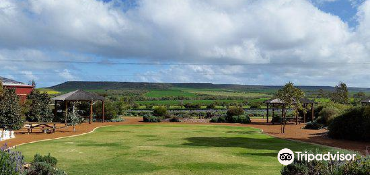 Shire of Chapman Valley Travel Guide 2024 Things to Do, What To Eat