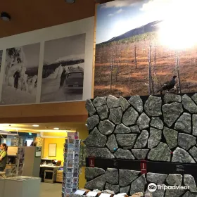 Pyha-Luosto Visitor and Culture Centre Naava