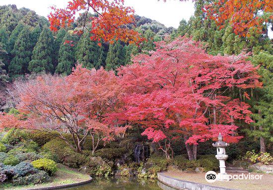 久安寺景點評價 久安寺門票 久安寺優惠 久安寺交通 地址 開放時間 久安寺附近景點 酒店及美食 Trip Com