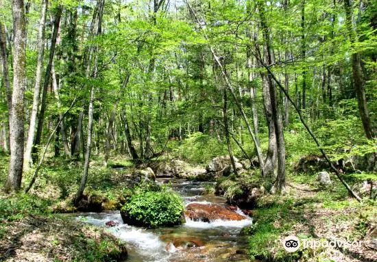 長野県 国営アルプスあづみの公園 大町 松川地区 評判 案内 トリップドットコム