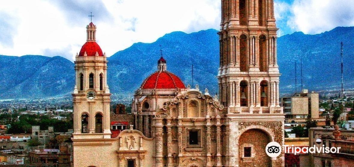 travel site saltillo