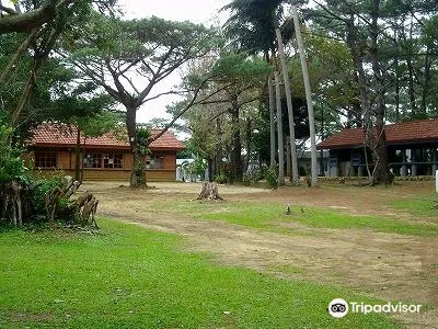 宮古島 宮古島市体験工芸村 評判 案内 トリップドットコム 宮古島 宮古島市体験工芸村 評判 案内 トリップドットコム