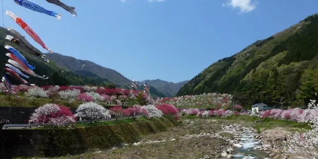 22阿智村熱門推薦活動 阿智村旅遊攻略 阿智村人氣推介景點門票 酒店 好去處 餐飲及餐廳 Trip Com