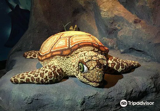 Sea Life Nagoya Attraction Reviews Sea Life Nagoya Tickets Sea Life Nagoya Discounts Sea Life Nagoya Transportation Address Opening Hours Attractions Hotels And Food Near Sea Life Nagoya Trip Com