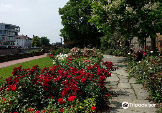 Rosengarten Travel Guidebook Must Visit Attractions In Ulm Rosengarten Nearby Recommendation Trip Com