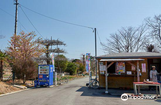 高野花見山のレビュー 高野花見山のチケット 高野花見山の割引 高野花見山の交通機関 所在地 営業時間 高野花見山周辺の観光スポット ホテル グルメ Trip Com