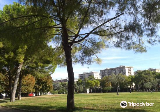Parco 2 Giugno Travel Guidebook Must Visit Attractions In Bari Parco 2 Giugno Nearby Recommendation Trip Com Parco 2 Giugno Travel Guidebook Must Visit Attractions In Bari Parco 2 Giugno Nearby Recommendation Trip Com