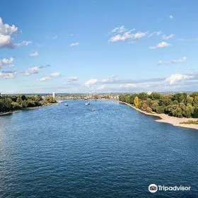 Rheinseilbahn