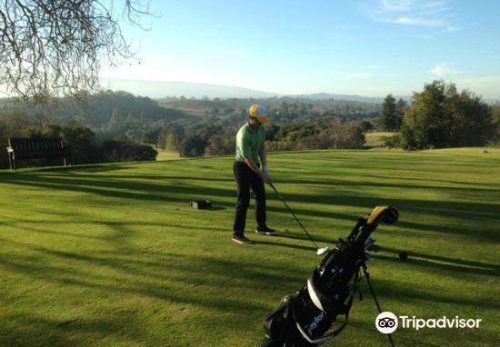 stanford golf bag