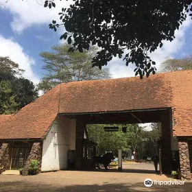 Nairobi Education Centre - Animal Orphanage