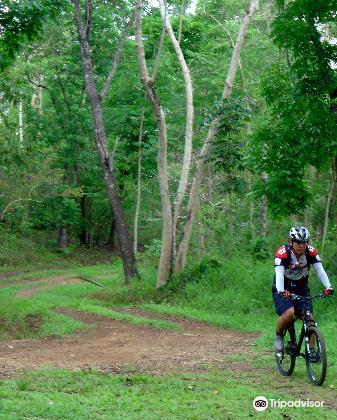 la mesa eco park bike trail