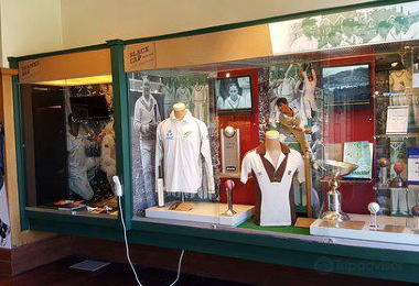 New Zealand Cricket Museum Popular Attractions Photos
