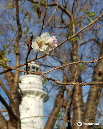 長崎 樺島灯台公園 評判 案内 トリップドットコム 長崎 樺島灯台公園 評判 案内 トリップドットコム