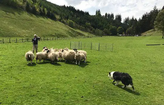 Hôtels à : Heriot