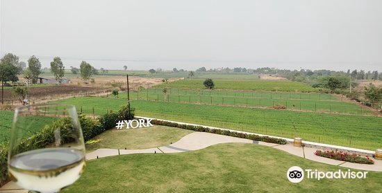 York winery & tasting room Clearance