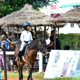 Cambodian Country Club Equestrian Center