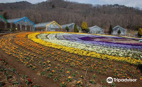 とちぎ花センターのレビュー とちぎ花センターのチケット とちぎ花センターの割引 とちぎ花センターの交通機関 所在地 営業時間 とちぎ花センター周辺の観光スポット ホテル グルメ Trip Com