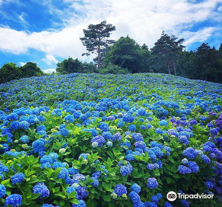 赤坂公衆園のレビュー 赤坂公衆園のチケット 赤坂公衆園の割引 赤坂公衆園の交通機関 所在地 営業時間 赤坂公衆園周辺の観光スポット ホテル グルメ Trip Com