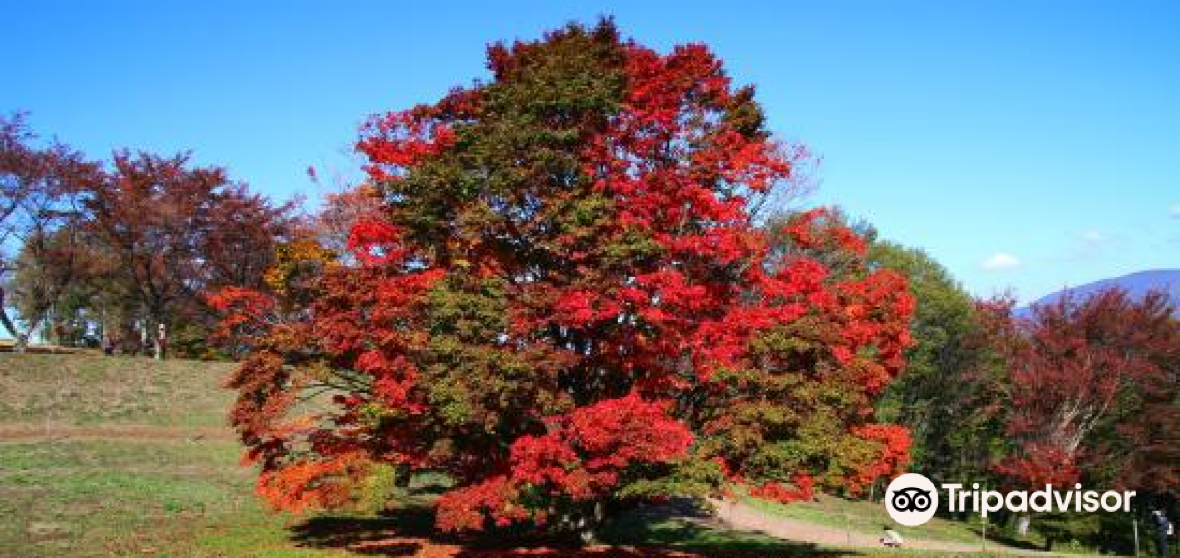 Ikeda Travel Guide 2023 - Things to Do, What To Eat & Tips | Trip.com