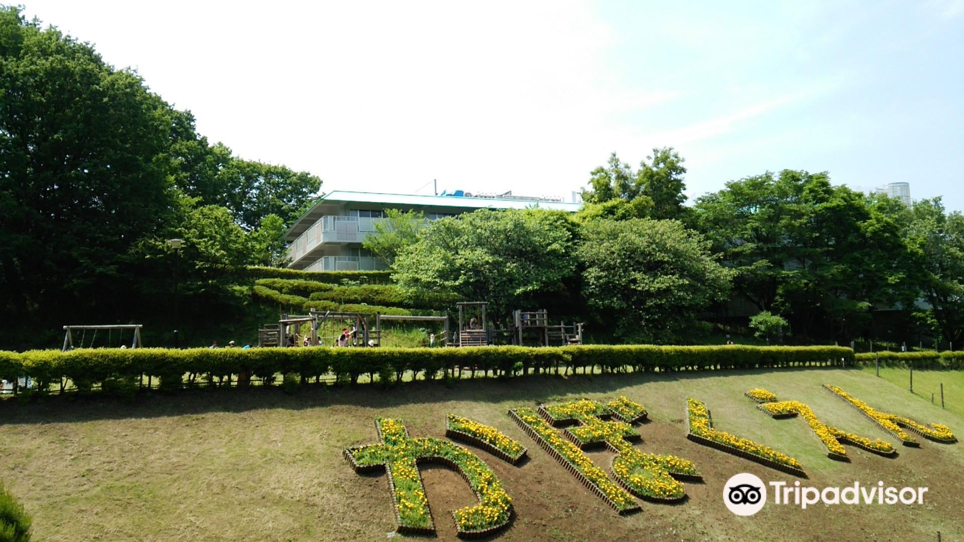 Ome City Kabokuen Travel Guidebook Must Visit Attractions In Ome City Kabokuen Nearby Recommendation Trip Com Ome City Kabokuen Travel Guidebook Must Visit Attractions In Ome City Kabokuen Nearby Recommendation Trip Com