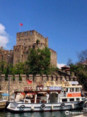 Anadolu Citadel