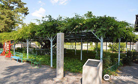 菖蒲神社旅遊攻略指南 菖蒲神社評價 菖蒲神社附近推薦 Trip Com