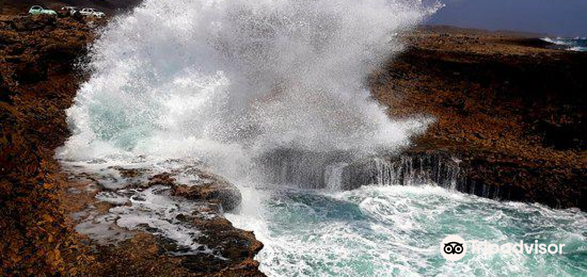 Westpunt 2022 Top Things to Do Westpunt Travel Guides Top