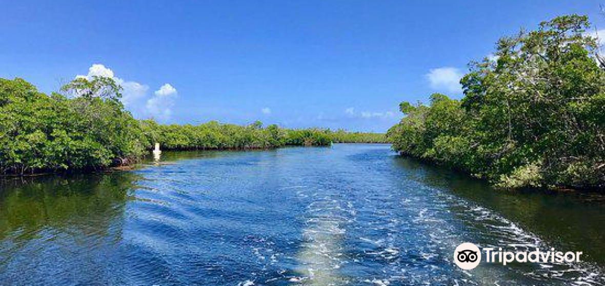 North Key Largo 2023 Top Things to Do - North Key Largo Travel Guides ...