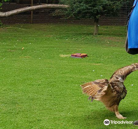 Bridlington Animal Park attraction reviews - Bridlington Animal Park tickets - Bridlington Animal Park discounts - Bridlington Animal Park transportation, address, opening hours - attractions, hotels, and food near Bridlington Animal Park Bridlington Animal Park attraction reviews - Bridlington Animal Park tickets - Bridlington Animal Park discounts - Bridlington Animal Park transportation, address, opening hours - attractions, hotels, and food near Bridlington Animal Park