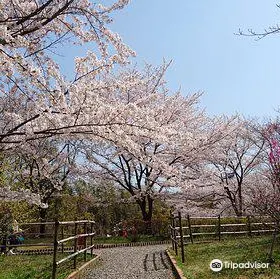 Sanuki Airport Park