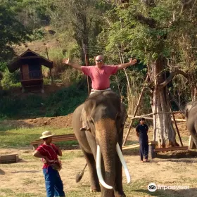Elephant Kingdom
