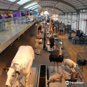 Museum of Natural Sciences
