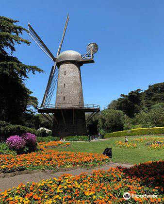 Queen Wilhelmina Garden Travel Guidebook Must Visit Attractions In San Francisco Queen Wilhelmina Garden Nearby Recommendation Trip Com