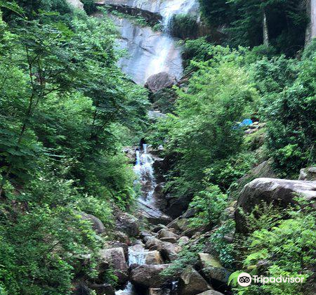 彌山原始林旅遊攻略指南 彌山原始林評價 彌山原始林附近推薦 Trip Com