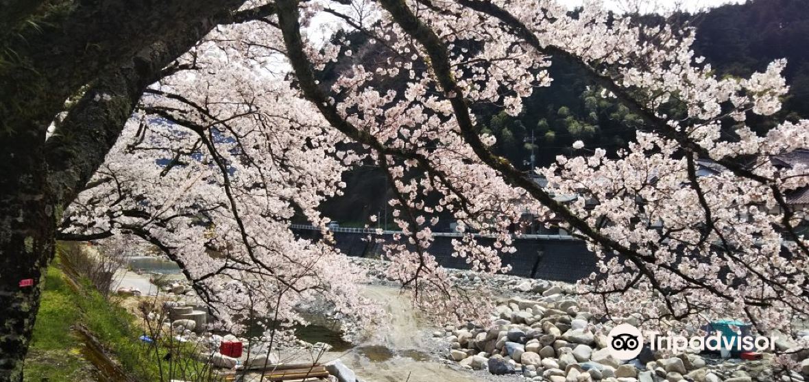 21八頭郡旅遊攻略 八頭郡好去處 八頭郡觀光景點21 Trip Com