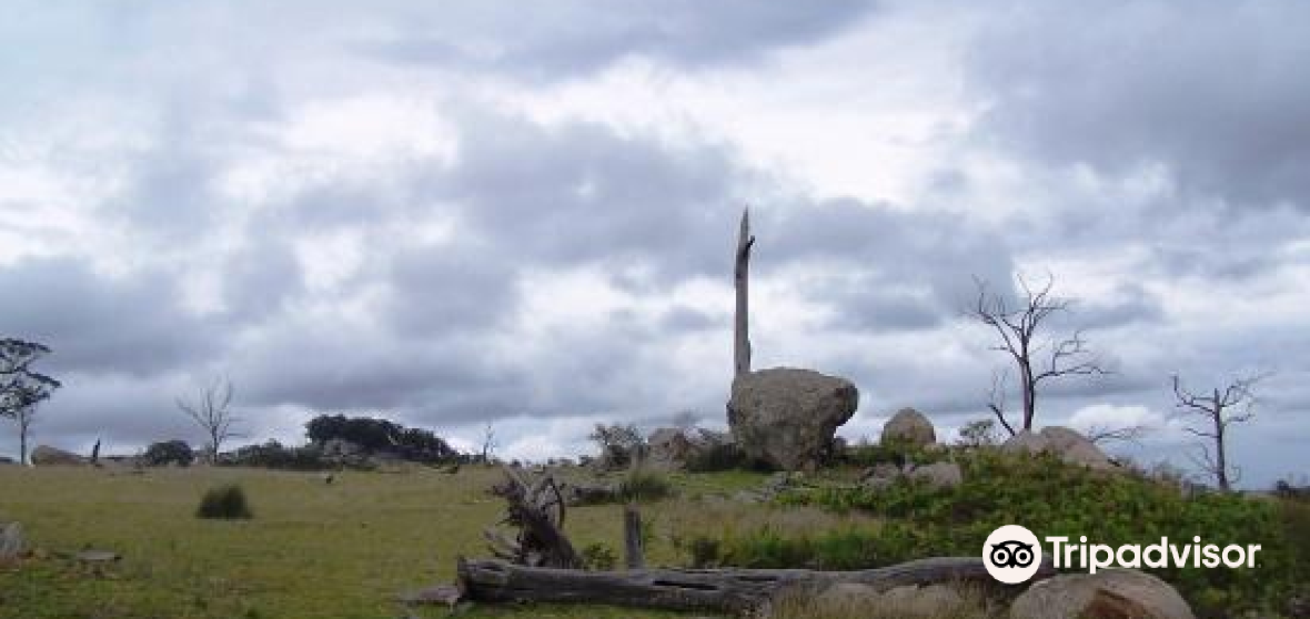 Tenterfield Shire Council 2023 Top Things to Do Tenterfield Shire