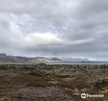 レイキャビック Bardur Snaefellsas 評判 案内 トリップドットコム