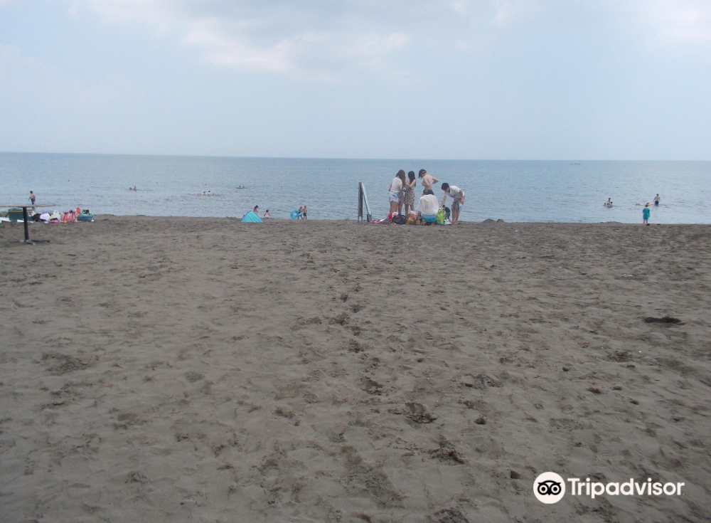 小樽 おたるドリームビーチ 評判 案内 トリップドットコム