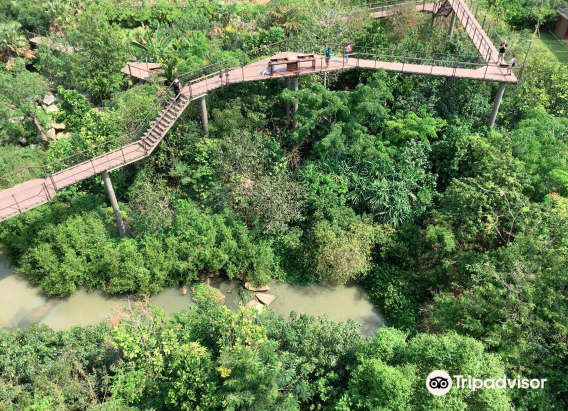 Ptt Green In The City Travel Guidebook Must Visit Attractions In Bangkok Ptt Green In The City Nearby Recommendation Trip Com